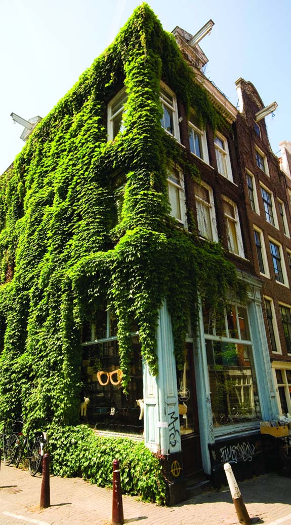 1st International Conference on Quantum Information Technologies Applied to Nature and Society :: QUITANS 2018 :: Amsterdam, the Netherlands :: June 28 – 30, 2018